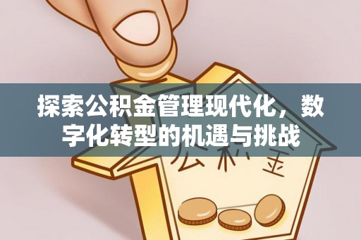 溪湖探索公积金管理现代化，数字化转型的机遇与挑战
