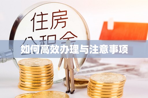 溪湖如何高效办理与注意事项