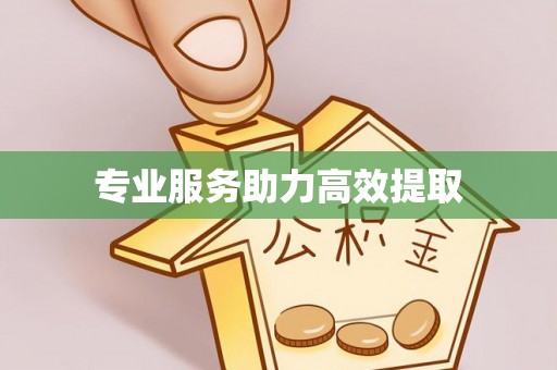溪湖专业服务助力高效提取