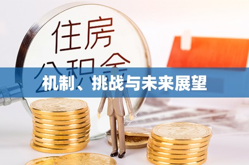 溪湖机制、挑战与未来展望