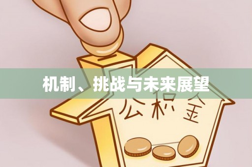 溪湖机制、挑战与未来展望